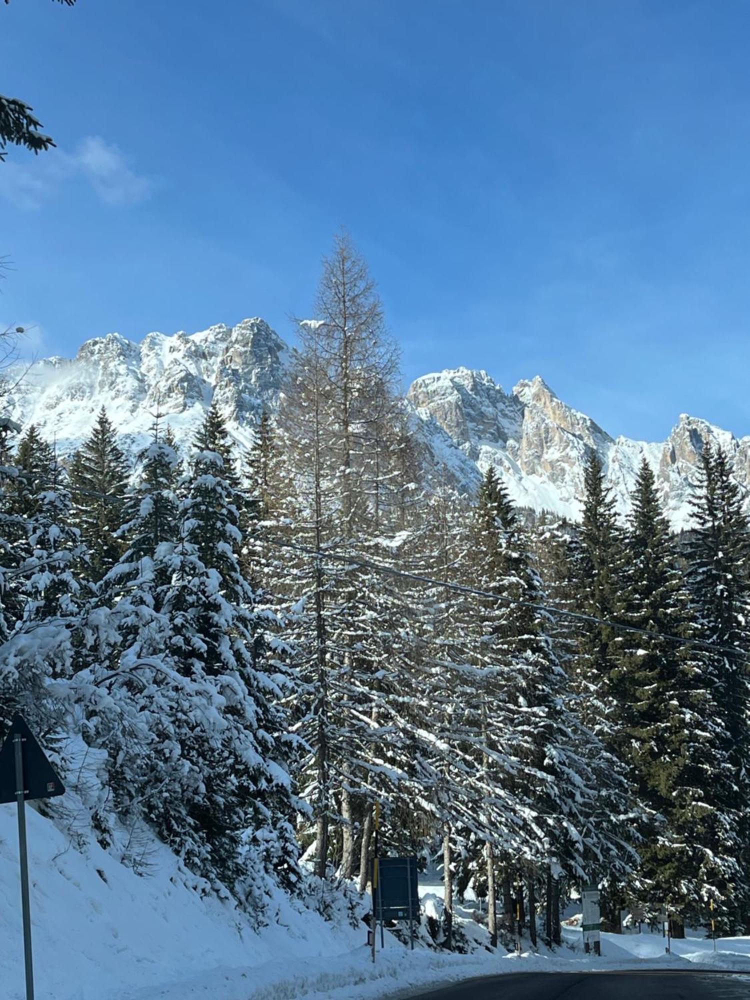 Chalet Delle Dolomiti 피에베디카도레 외부 사진