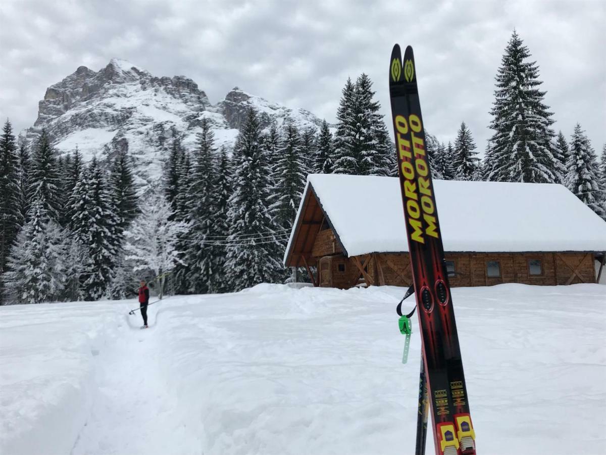 Chalet Delle Dolomiti 피에베디카도레 외부 사진